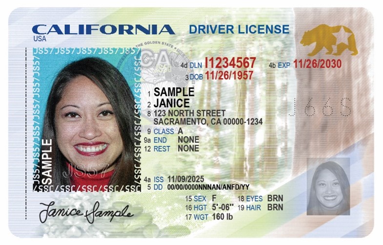 California DMV sample front of the redesigned California driver license, marked SAMPLE and populated with fictional identity details.