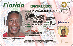Official FLHSMV sample of the August 2020 Florida driver license front, shown as an earlier design.